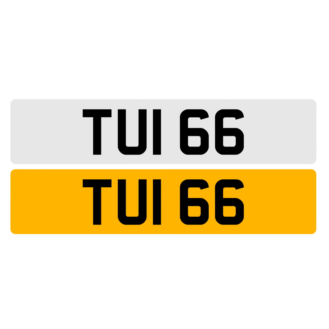 TUI66 - 3x2 Dateless Registration Plate