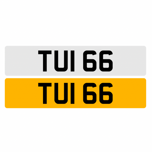 TUI66 - 3x2 Dateless Registration Plate